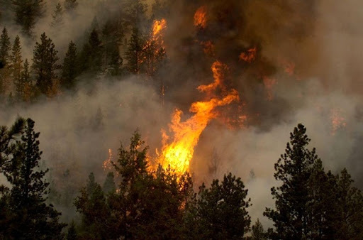 Dichiarazione Stato di Massima pericolosità incendi boschivi su tutto il territorio regionale del Piemonte dal 06/02/20