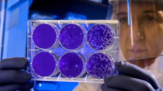 Coronavirus: attivo  il numero verde per le chiamate sanitarie